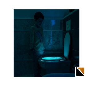 ECO- TOILET LIGHT